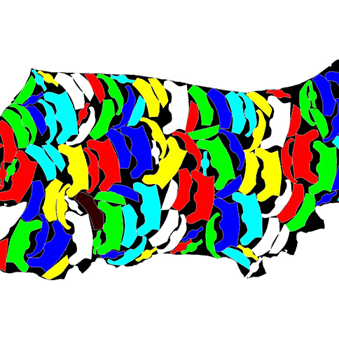 Irregular Material Intelligent Nesting System