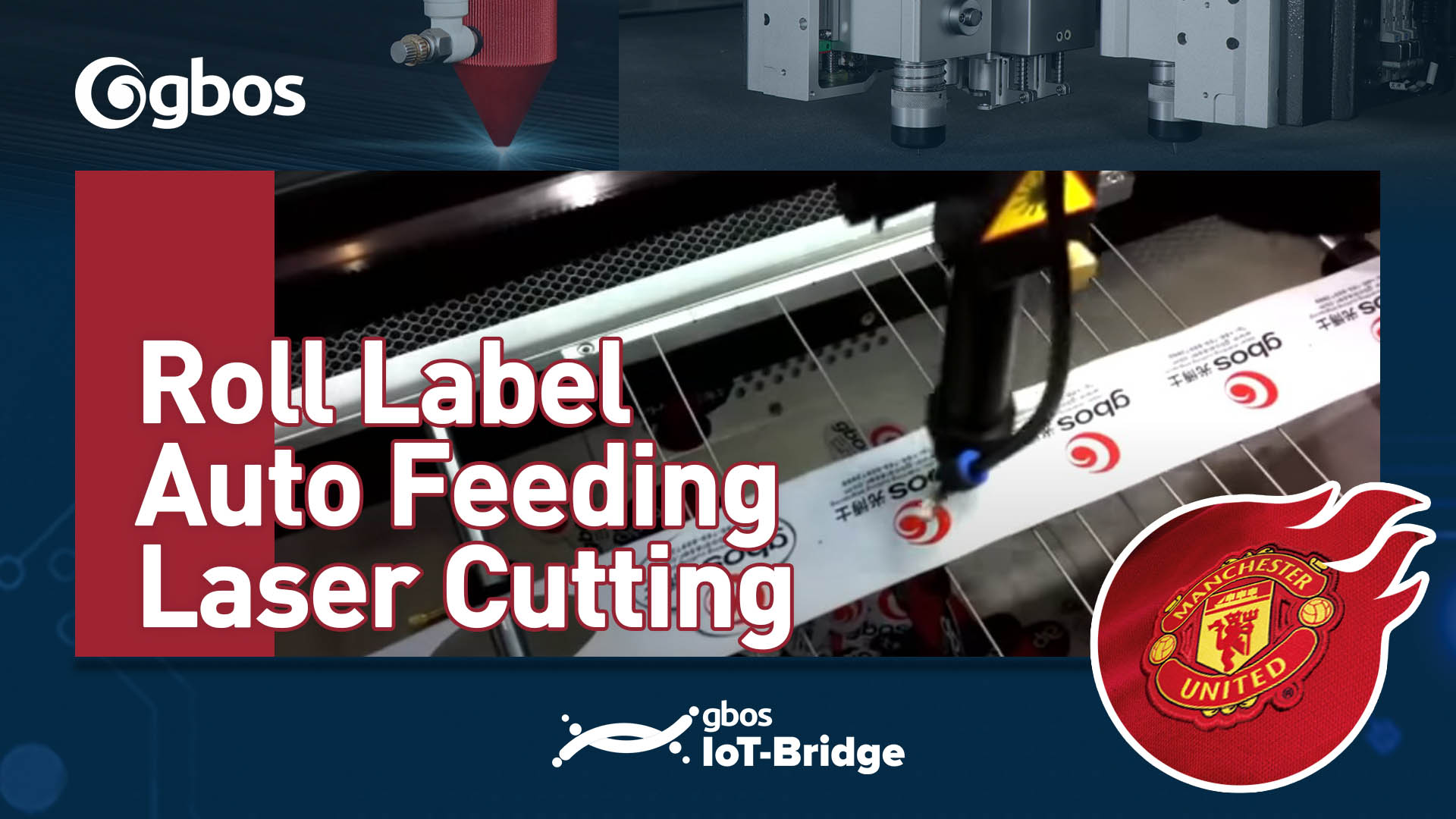 Roll Label Auto Feeding Laser Cutting