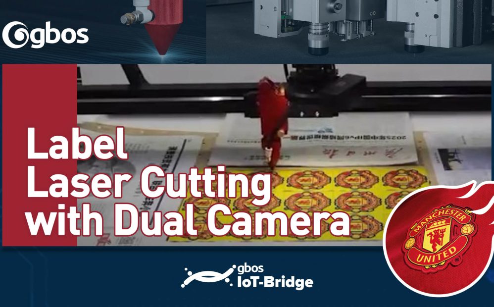 Label Laser Cutting with Dual Camera