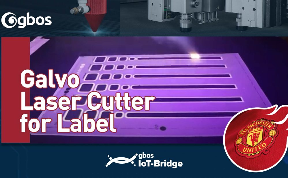 Galvo Laser Cutter for Label