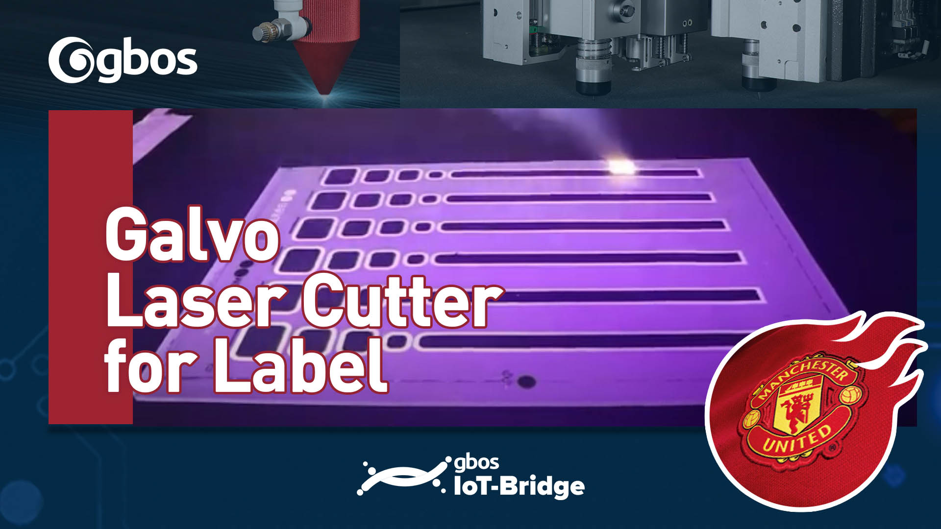 Galvo Laser Cutter for Label