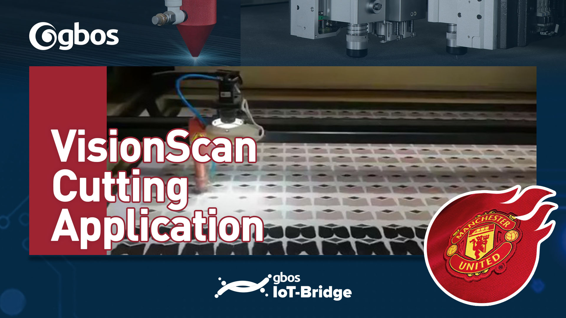 VisionScan Cutting Application(Customers’ Case)