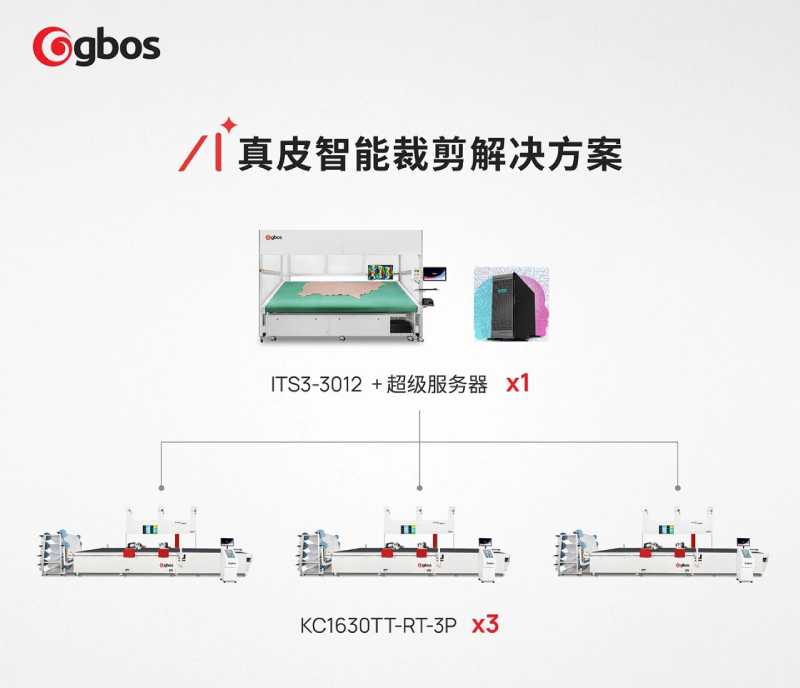 ITS3-3012 Sistema inteligente de agrupamento de couro AI